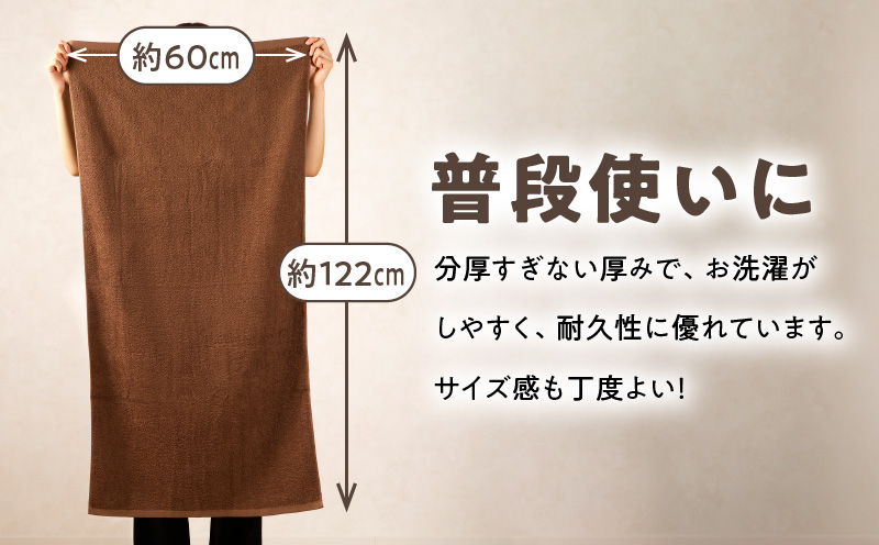 ナチュレル 泉州バスタオル４枚（ブラウン系）限定セット【泉州タオル 国産 吸水 普段使い 無地 シンプル 日用品 家族 ファミリー】 G1537