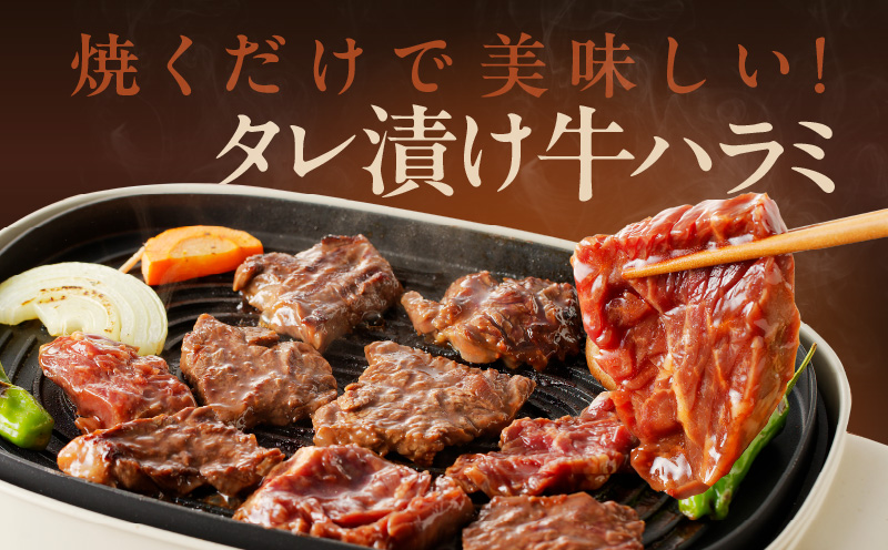 冷蔵配送 牛ハラミ タレ漬け 焼肉用 900g（300g×3） 010B1522