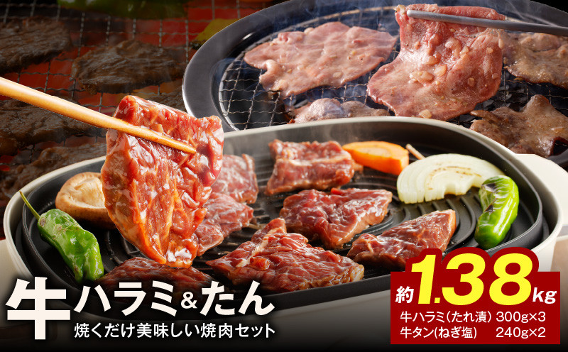 大人気 ファミリー向け 焼肉セット 牛たん 牛ハラミ肉 総量1.38kg G1161