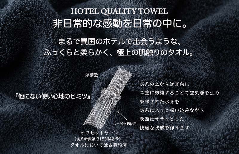 Landwell Hotel フェイスタオル 3枚 グレー ギフト 贈り物【泉州タオル 国産 吸水 普段使い 無地 シンプル 日用品 家族 ファミリー】 G487