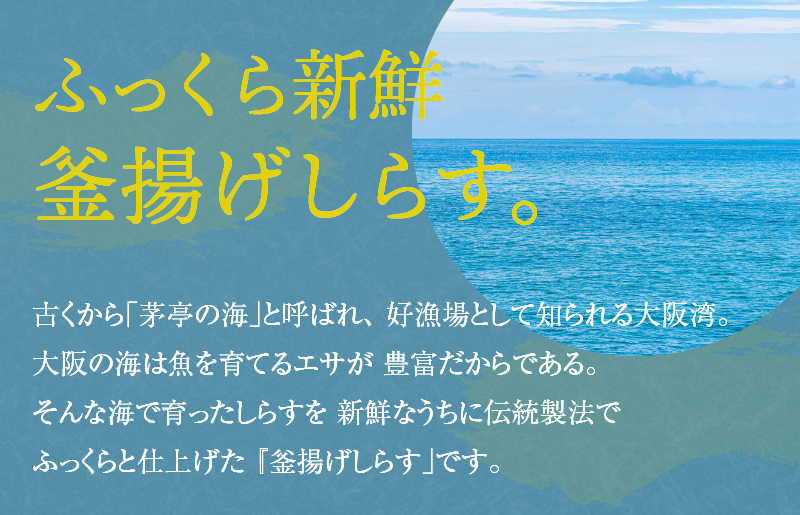 釜揚げしらす 800g 訳あり 簡易包装 家庭用 完全無添加 うす塩仕立て G861-1