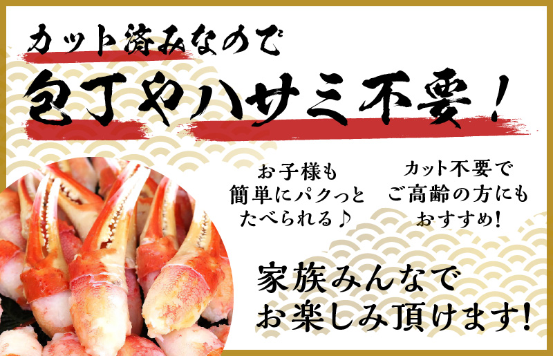 本ずわいがに 爪肉 約500g 加熱用 010B1296