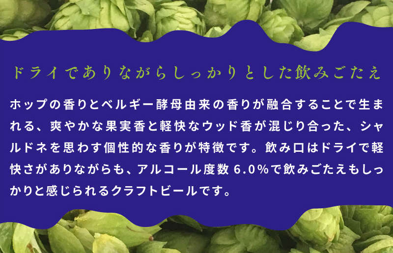 クラフトビール 裏通りのドンダバダ 12本 G1010