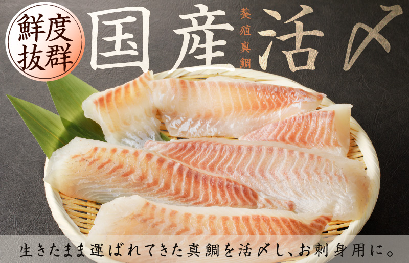 国産活〆 養殖 真鯛 お刺身用 450g　便利な小分け 3パック 099H2370