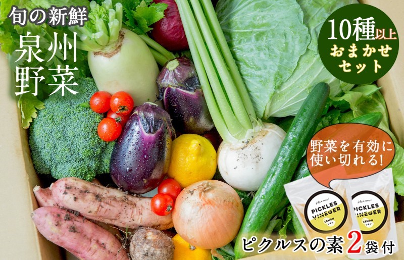 【スピード発送】季節の泉州野菜 10種 おまかせセット ピクルスの素 2袋付き いずみピクルス NSW G906