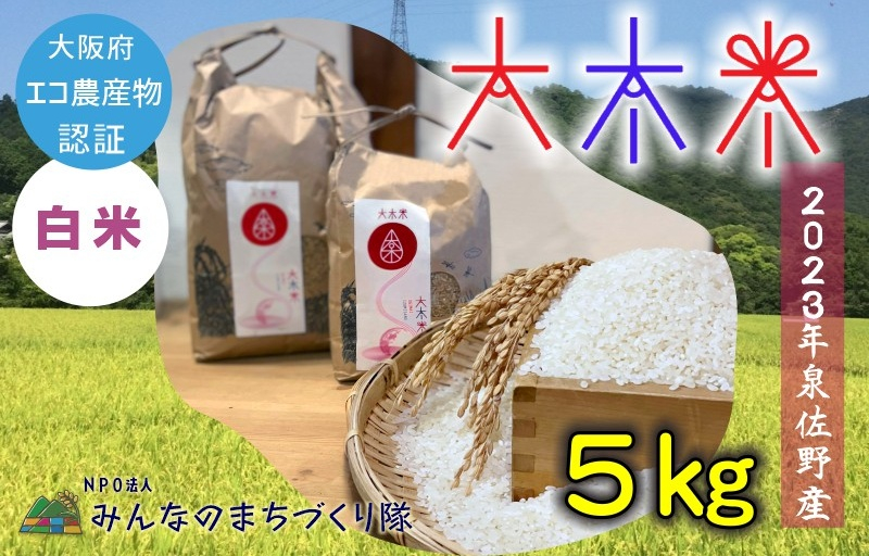 日本遺産の棚田景観で育てた大木米（白米）5kg 099H2387 - ふるさと