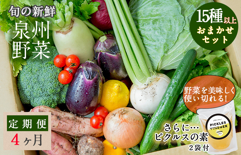 旬の新鮮 野菜セット（15種以上）定期便 全4回 おまかせ ピクルスの素付き ファミリー向け いずみピクルス NSW【毎月配送コース】 G938