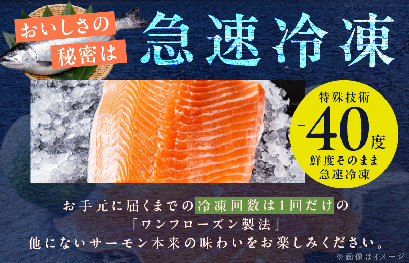 アトランティックサーモン 1kg以上 小分け 500g以上×2P【フィレ エコパック 訳あり サイズ不揃い 世界No.1サーモンメーカー 刺身 海鮮丼 サラダ 総量 1kg以上 鮭 さけ シャケ しゃけ sake 人気 オススメ 小分け 期間限定 冷凍 家計応援 消費応援 物価高応援】 G1239