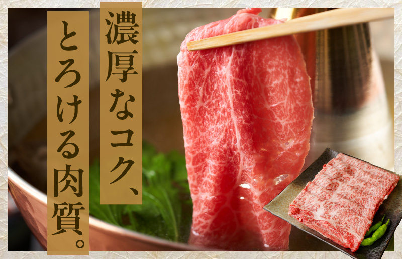 【氷温熟成×極味付け】黒毛和牛 A5等級 肩ロース 1kg（500g×2）すき焼き しゃぶしゃぶ mrz0074