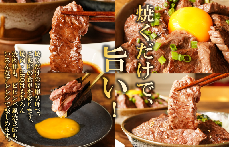 【氷温熟成×極味付け】牛肉 ハラミ 750g（250g×3） mrz0020