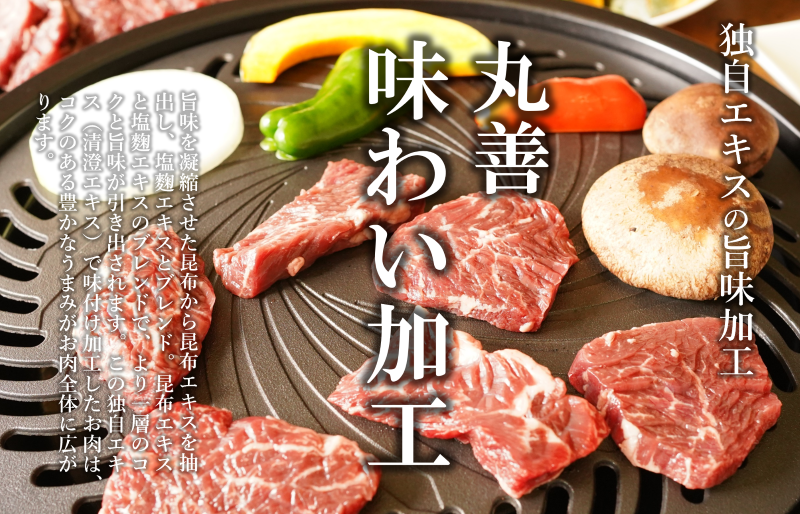 【氷温熟成×極味付け】牛肉 ハラミ 1kg（250g×4） mrz0021