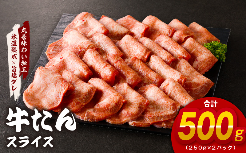 【氷温熟成×旨塩ダレ】牛たん 500g スライス 小分け 250g×2P 焼肉用 訳あり サイズ不揃い mrz0023