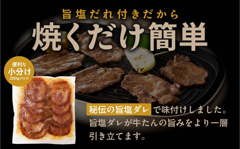 【氷温熟成×旨塩ダレ】牛たん 750g スライス 小分け 250g×3P 焼肉用 訳あり サイズ不揃い mrz0024