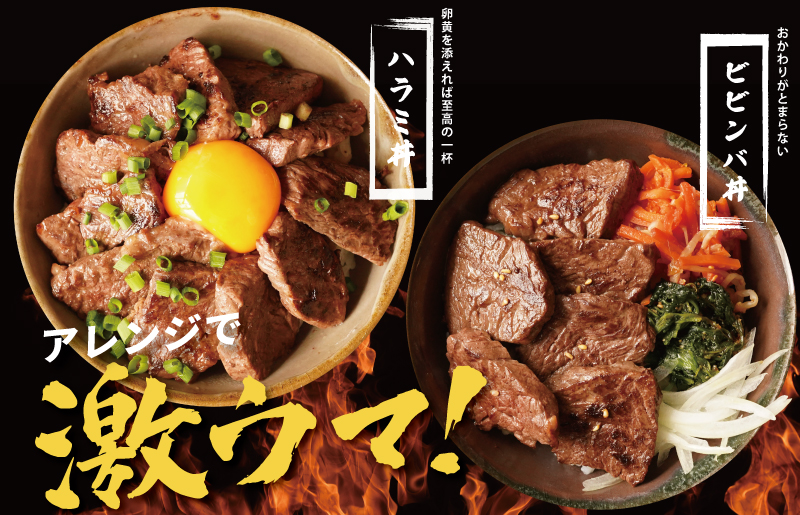 【氷温熟成×特製ダレ】牛肉 ハラミ 900g（300×3） mrz0026