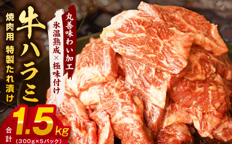 【氷温熟成×特製ダレ】牛肉 ハラミ 1.5kg（300×5） mrz0028