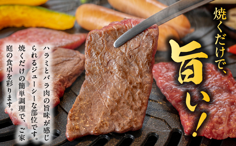 【氷温熟成×特製ダレ】希少部位 牛肉 うちハラミ 1.2kg（400g×3） mrz0029