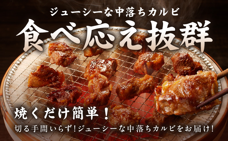 焼き肉専門店 自家製タレ漬け 中落ちカルビ 総量1kg 小分け 250g×4 G1357