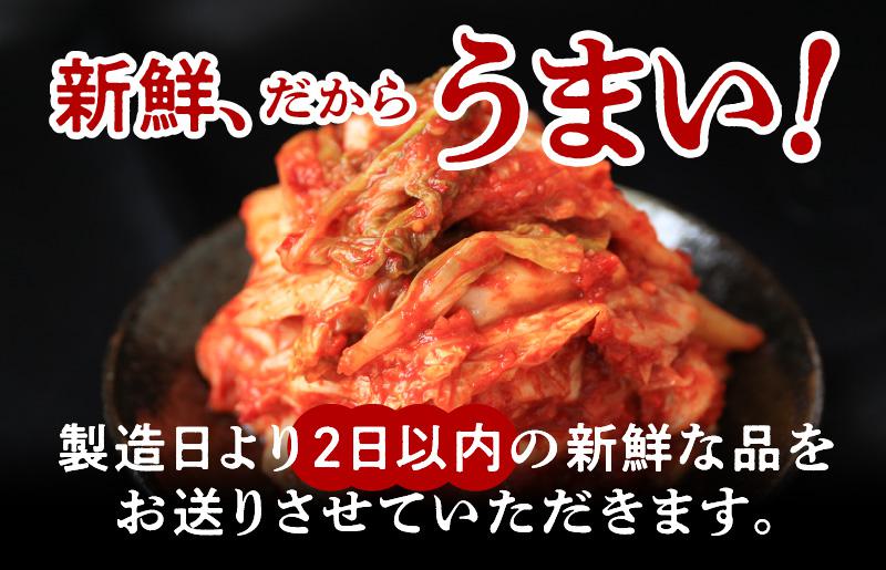 定期便 白菜キムチ 1kg × 3回 大好評 韓国【毎月配送コース】 099Z246