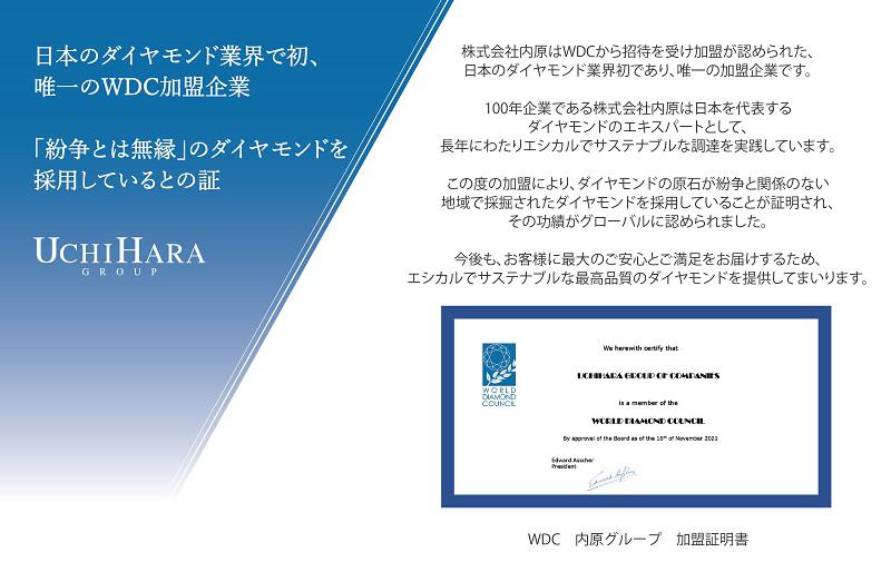 アルカンシェル K18WG ダイヤペンダント（計 0.2ct）【鑑別書付き ジュエリー プレゼント ギフト ファッション アクセサリー 贈り物 贈答 お祝い 記念日】 J009-2