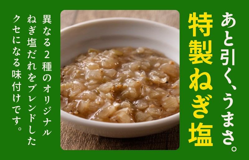 ねぎ塩 牛たん 480g 小分け 240g×2【牛タン 牛肉 焼肉用 薄切り 訳あり サイズ不揃い】 010B1527