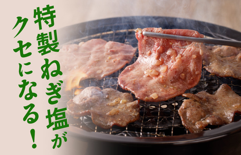 ねぎ塩 牛たん 定期便 480g×全3回 牛タン 牛肉 焼肉用 薄切り 訳あり サイズ不揃い【毎月配送コース】 G1180