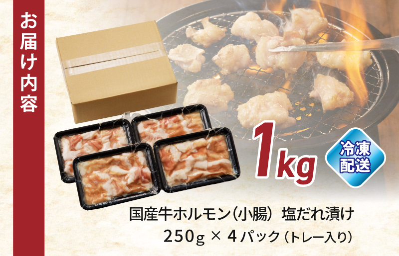 国産 牛肉 ホルモン 1kg 塩だれ漬け 焼肉用 小分け 250g×4P 010B1513