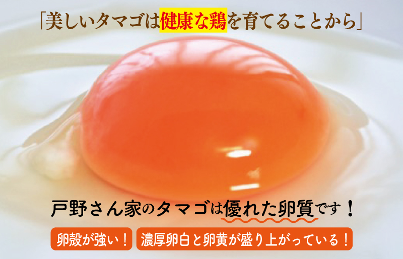 戸野さん家のこだわりタマゴ とのたま 定期便 合計 180個（Mサイズ：60個×全3回）【毎月配送コース】 099Z164