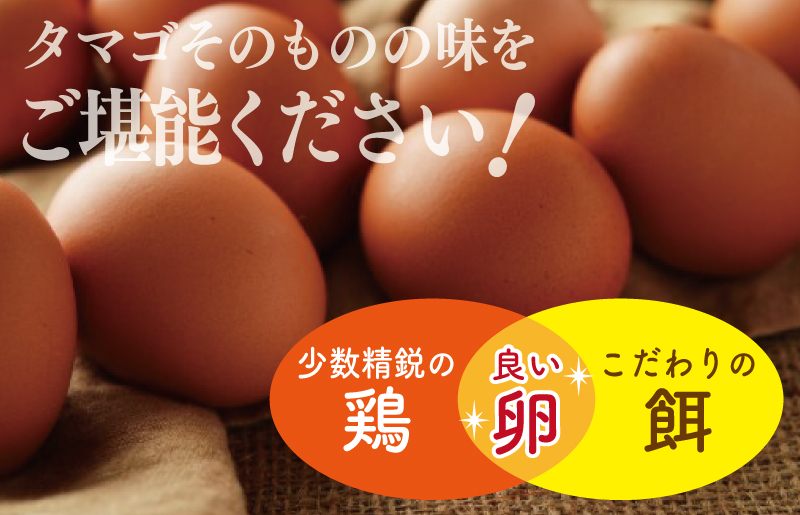 戸野さん家のこだわりタマゴ とのたま 定期便 合計 180個（Mサイズ：60個×全3回）【毎月配送コース】 099Z164