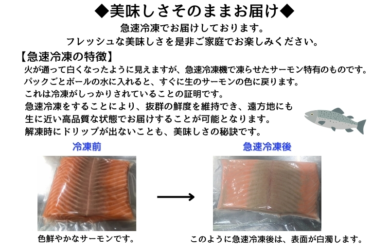 アトランティックサーモン 1kg以上 小分け 500g以上×2P【フィレ エコパック 訳あり サイズ不揃い 世界No.1サーモンメーカー 刺身 海鮮丼 サラダ 総量 1kg以上 鮭 さけ シャケ しゃけ sake 人気 オススメ 小分け 期間限定 冷凍 家計応援 消費応援 物価高応援】 G1239