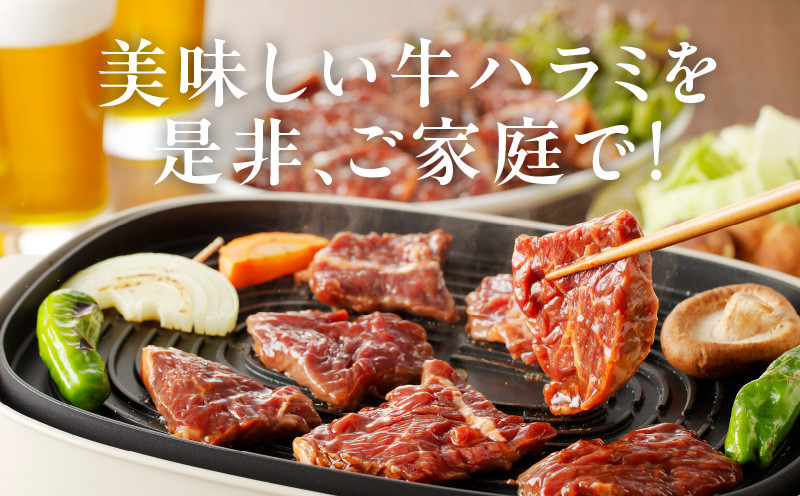 牛ハラミ肉 1.5kg（300g×5）秘伝の赤タレ漬け 訳あり サイズ不揃い G1157