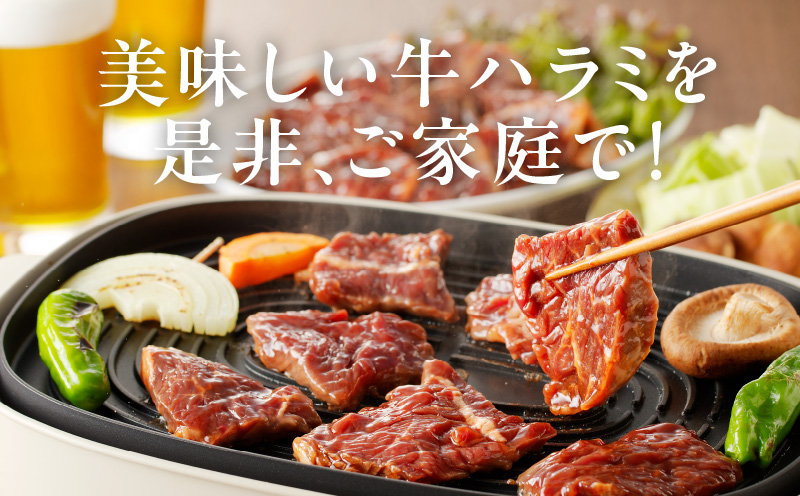 【冷蔵配送】牛ハラミ肉 焼肉用 味付け 1.2kg（300g×4） 099H2604