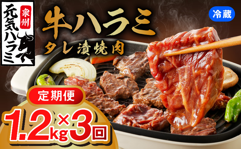 【冷蔵配送】牛ハラミ肉 焼肉用 味付け 定期便 1.2kg（300g×4P）×全3回 小分け【毎月配送コース】 G1179