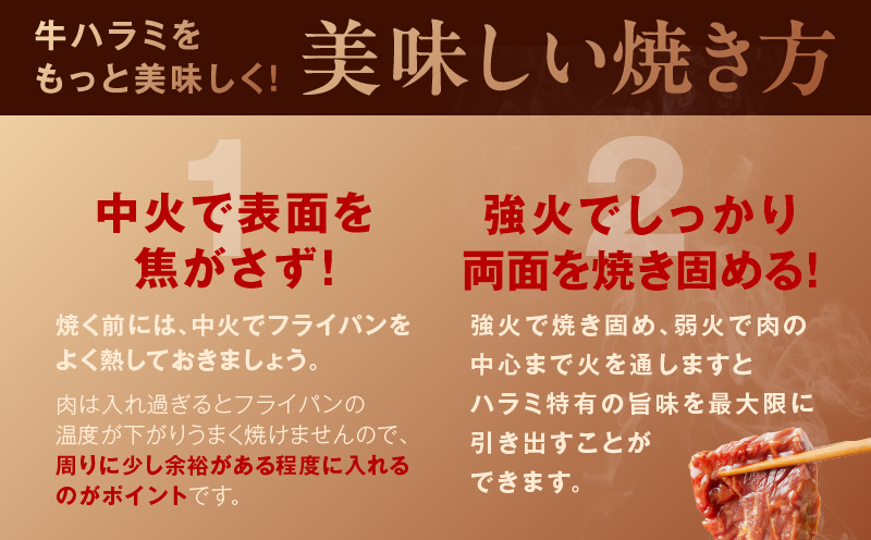 【冷蔵配送】牛ハラミ肉 焼肉用 味付け 定期便 1.2kg（300g×4P）×全3回 小分け【毎月配送コース】 G1179