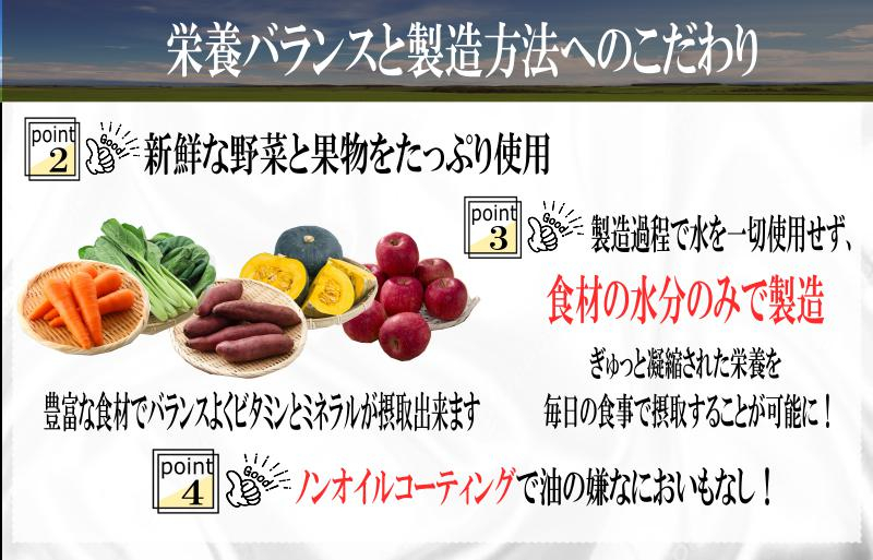 【定期便】国産 無添加 ドッグフード「いのちのごはん」500g×全3回【毎月配送コース】 099Z168