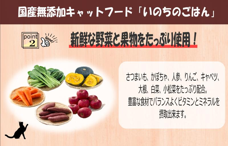 【定期便】国産 無添加 キャットフード「いのちのごはん」500g×全3回【毎月配送コース】 099Z170