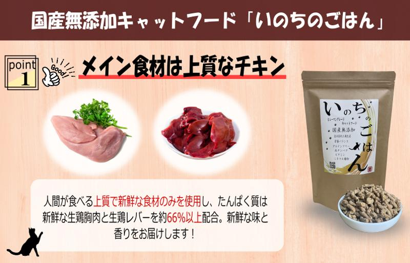 【定期便】国産 無添加 キャットフード「いのちのごはん」1kg×全3回【毎月配送コース】 099Z171