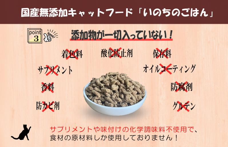 【定期便】国産 無添加 キャットフード「いのちのごはん」1kg×全3回【毎月配送コース】 099Z171