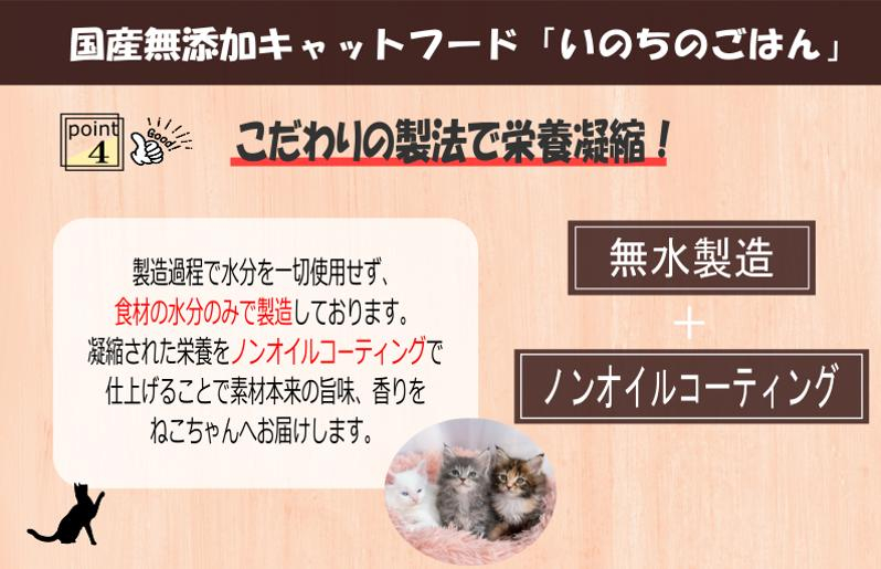 【定期便】国産 無添加 キャットフード「いのちのごはん」500g×全6回【毎月配送コース】 099Z176