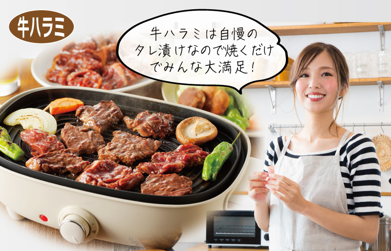 主婦が選んだ まんぷく セット（牛肉 ハラミ 銀鮭 切り身 たまご 野菜）【別送】 099S016