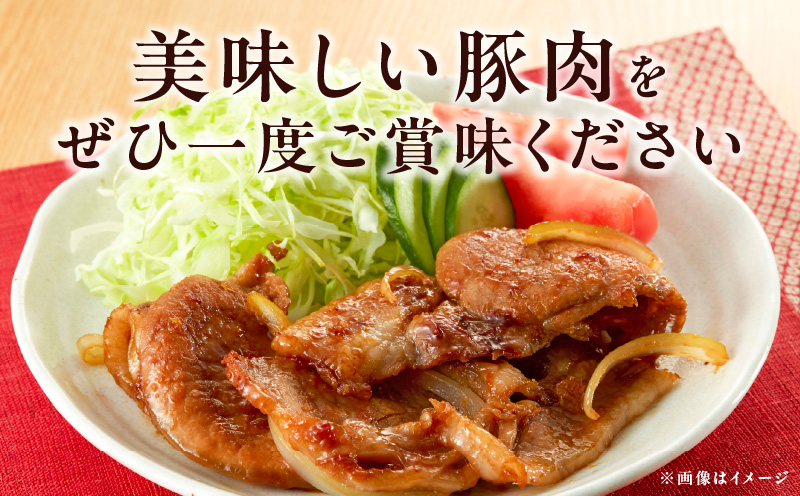 【氷温熟成×極味付け】国産 豚肉 5種 食べ比べ 合計 1.5kg（切り落とし/ロースステーキ/ももスライス/ローススライス/ミンチ）小分け mrz0034