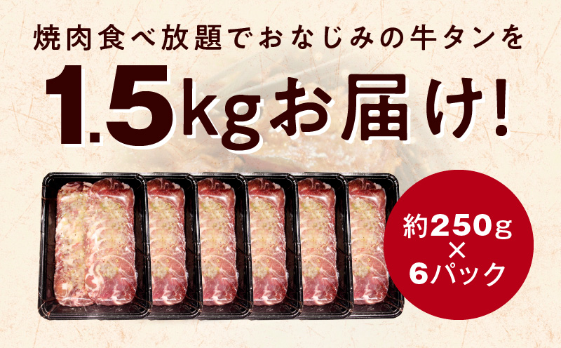 ねぎ塩 牛たん（成型）合計 1.5kg 小分け 250g×6【牛タン 牛肉 焼肉用 薄切り 訳あり サイズ不揃い】 G1169