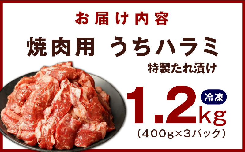 【氷温熟成×特製ダレ】希少部位 牛肉 うちハラミ 1.2kg（400g×3） mrz0029