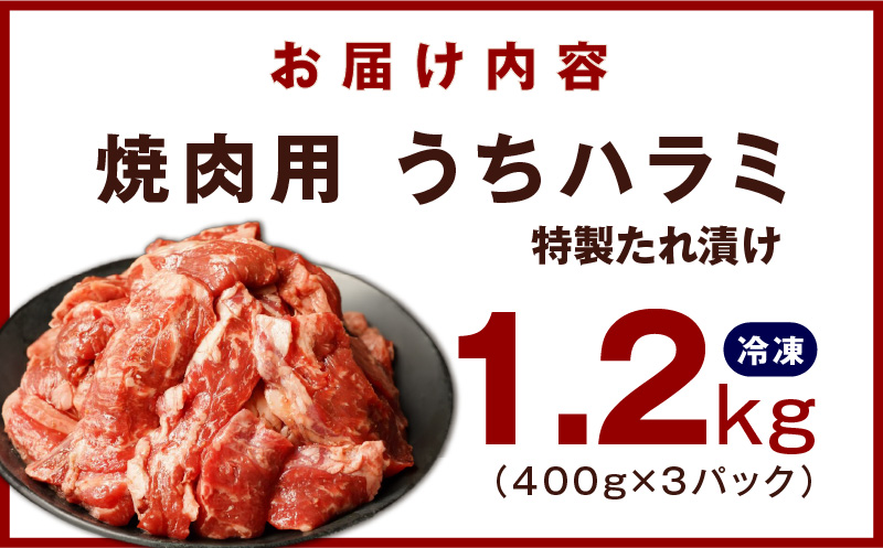 【丸善特製ダレ】希少部位 牛肉 うちハラミ 1.2kg（400g×3） 010B1348