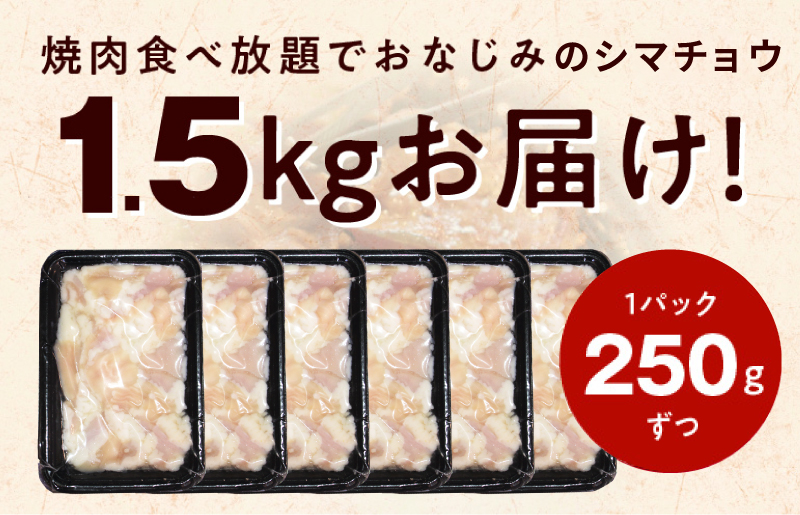 【焼肉屋の定番】シマチョウ 塩だれ漬け 1.5kg 小分け 250g×6 牛肉 ホルモン 焼肉用 G1151