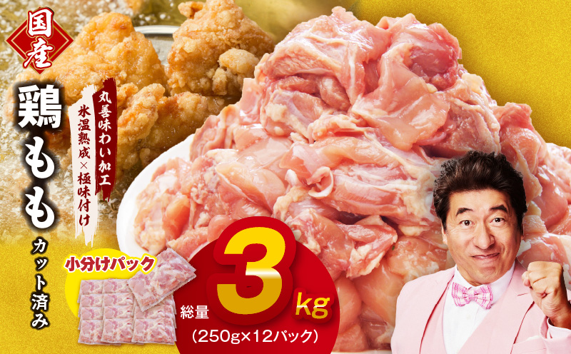 【氷温熟成×極味付け】国産 鶏肉もも カット済み 3kg 小分け 250g×12P mrz0052