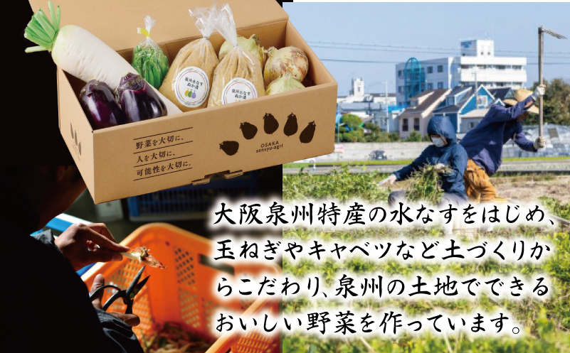 ねね屋のとれたて野菜セット 5品目以上 詰め合わせ 099H2857