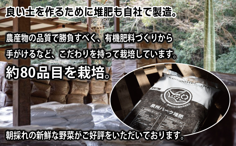 ねね屋のとれたて野菜セット 5品目以上 詰め合わせ 099H2857