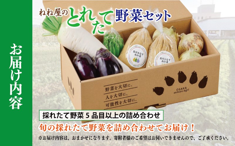 ねね屋のとれたて野菜セット 5品目以上 詰め合わせ 099H2857