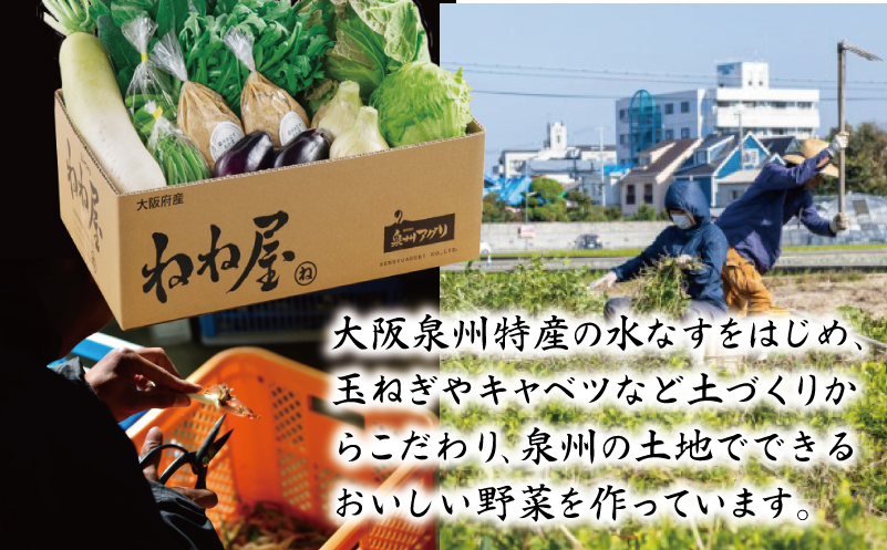 ねね屋のとれたて野菜セット 7品目以上 詰め合わせ 099H2858