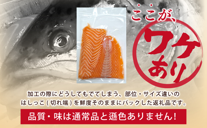 サーモン はしっこ 500g 訳あり 250g×2【アトランティックサーモン 北国からの贈り物 世界No.1サーモンメーカー 刺身 海鮮丼 サラダ 総量 鮭 さけ シャケ しゃけ sake 人気 オススメ 小分け 期間限定 冷凍 家計応援 消費応援 物価高応援】 G1237
